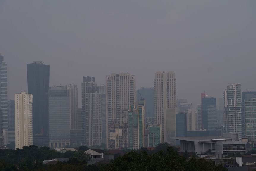 Edificios altos en Yakarta cubiertos de smog tomados desde lejos.