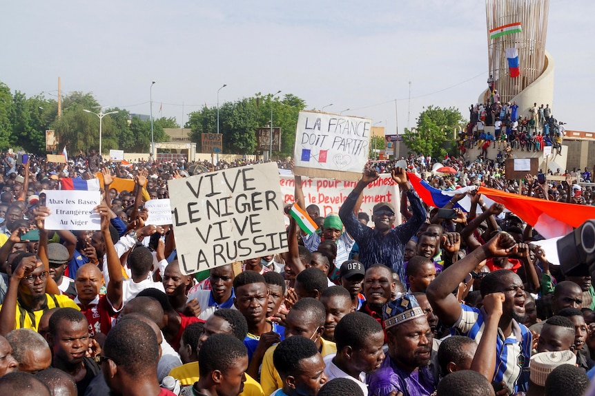 Multitudes se reúnen con carteles que dicen vive le niger vive la russie 