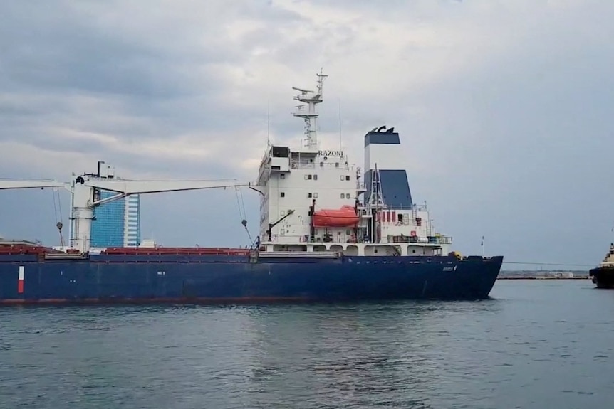 El carguero de bandera de Sierra Leona Razoni que transporta cereales ucranianos zarpa del puerto de Odesa
