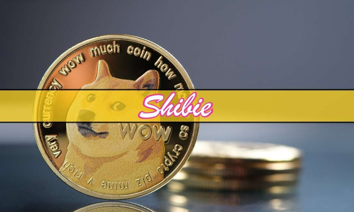 A medida que bajan los precios de Dogecoin y Pepe, ¿podría ser una alternativa la nueva moneda Shibie Token?