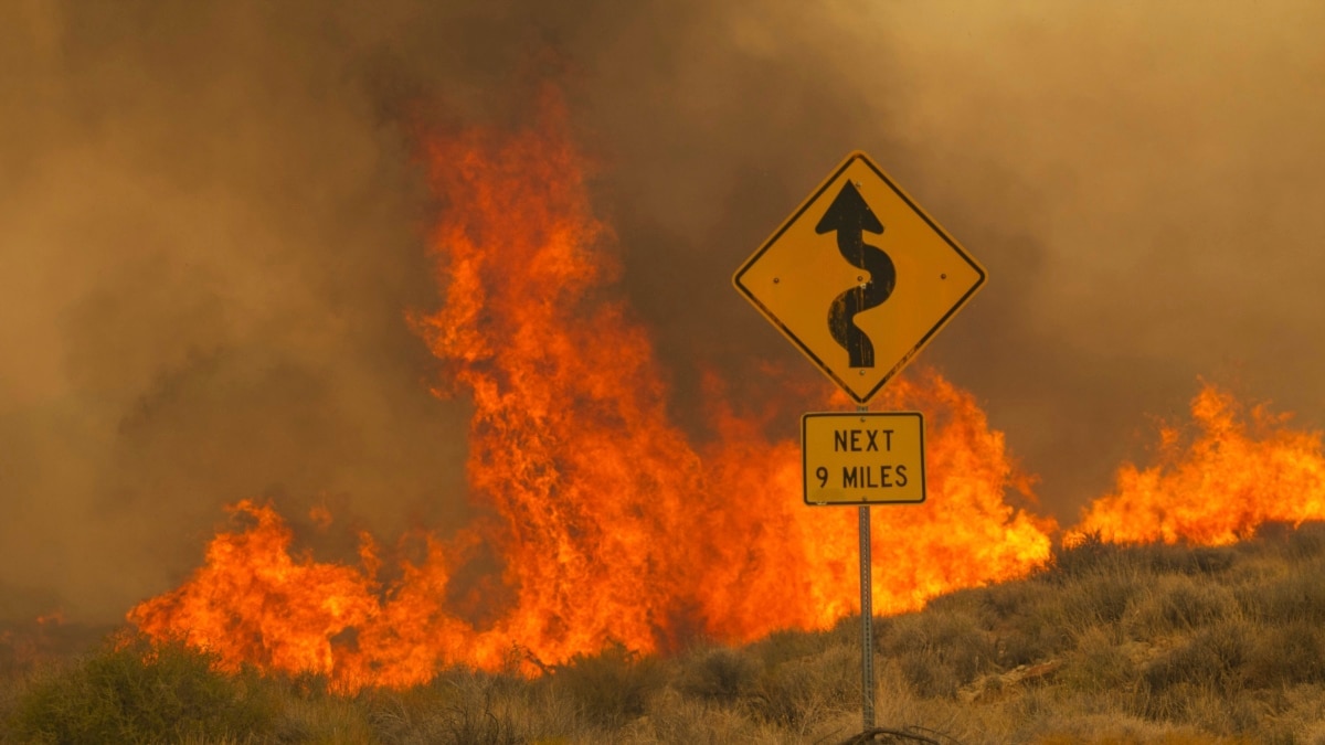 El fuego que arrasa el desierto de California amenaza a los icónicos árboles de Josué