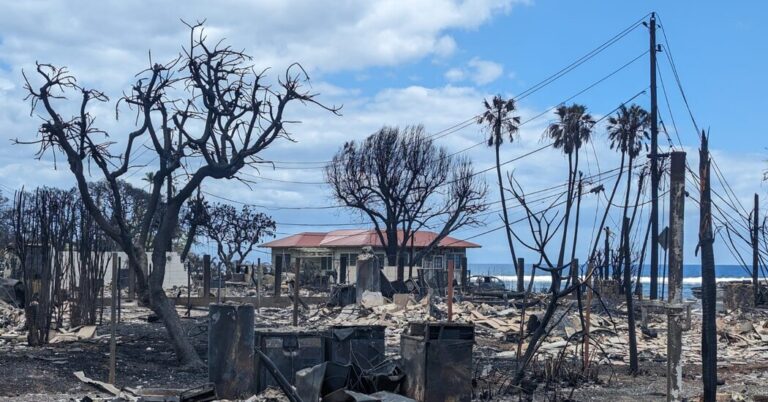 Las falsedades siguen de cerca los desastres naturales de este verano