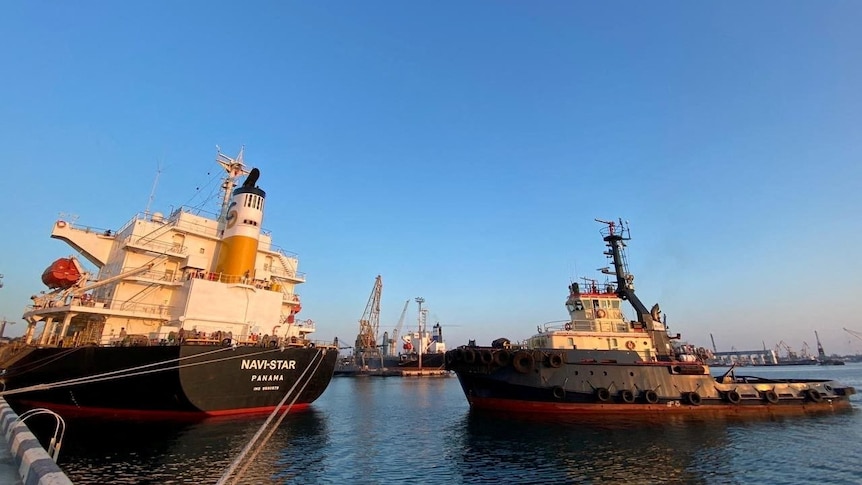 Los ataques a los puertos del Mar Negro aumentan después de que Rusia se retira del comercio de cereales, dicen los investigadores