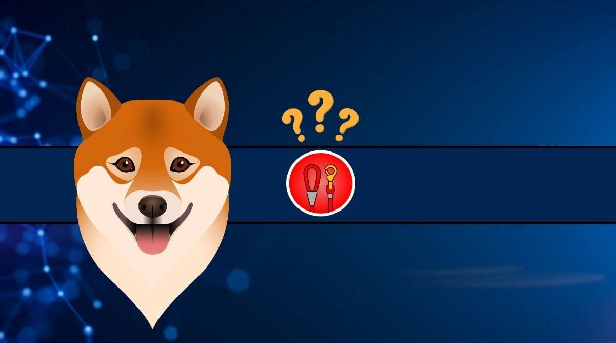 ¿Shiba Inu LEASH se disparará esta semana?  El desarrollador principal sugiere actualizaciones importantes, aquí es cuando