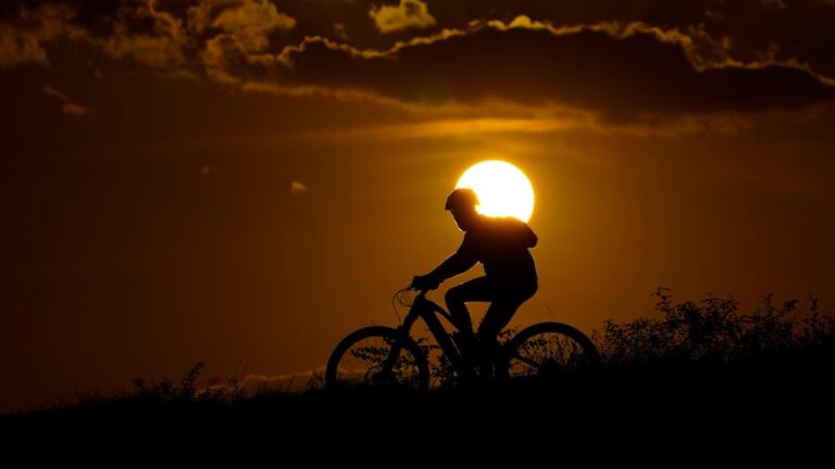 A cyclist is silhouetted by the bright golden sunset.