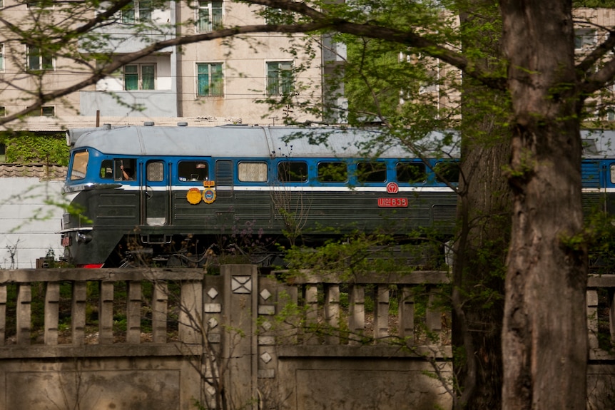Un tren norcoreano azul y negro pasa junto a una hilera de árboles.