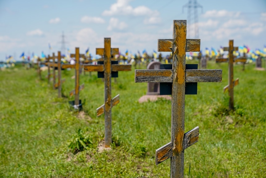 Una larga fila de cruces de madera en un cementerio.