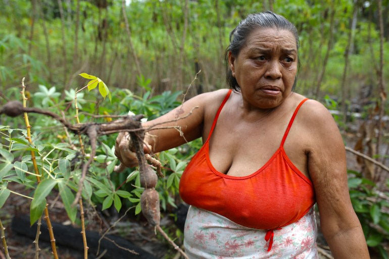 Una mujer con una camiseta sin mangas sostiene una raíz de yuca cosechada de la tierra a su alrededor.