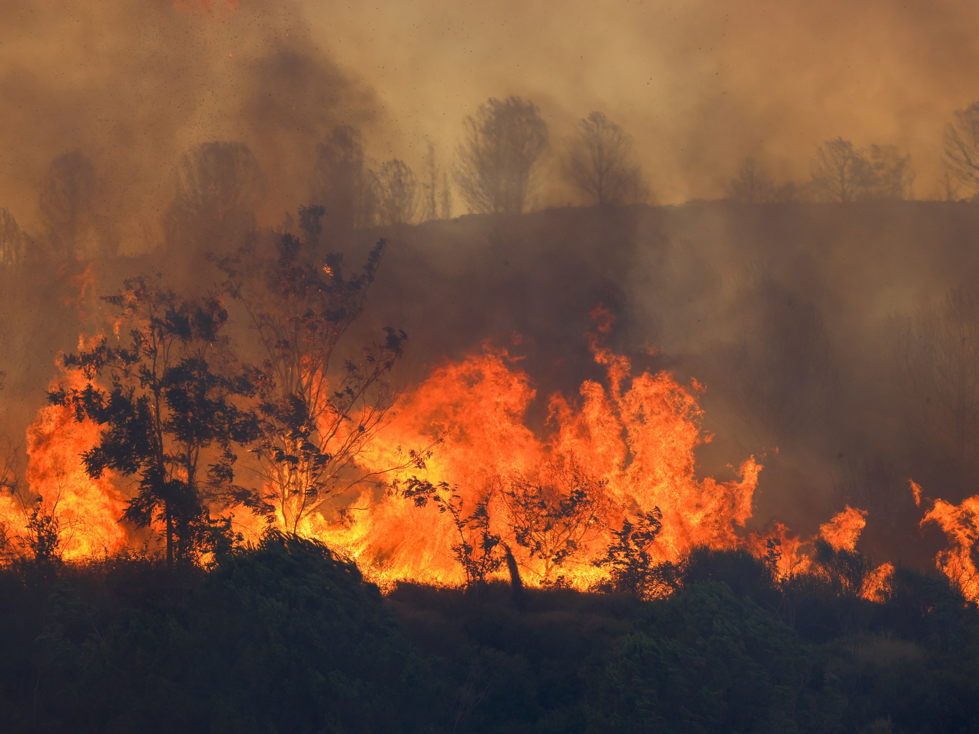 Al menos cinco muertos en incendios forestales en el sureste de Turquía |  Noticias