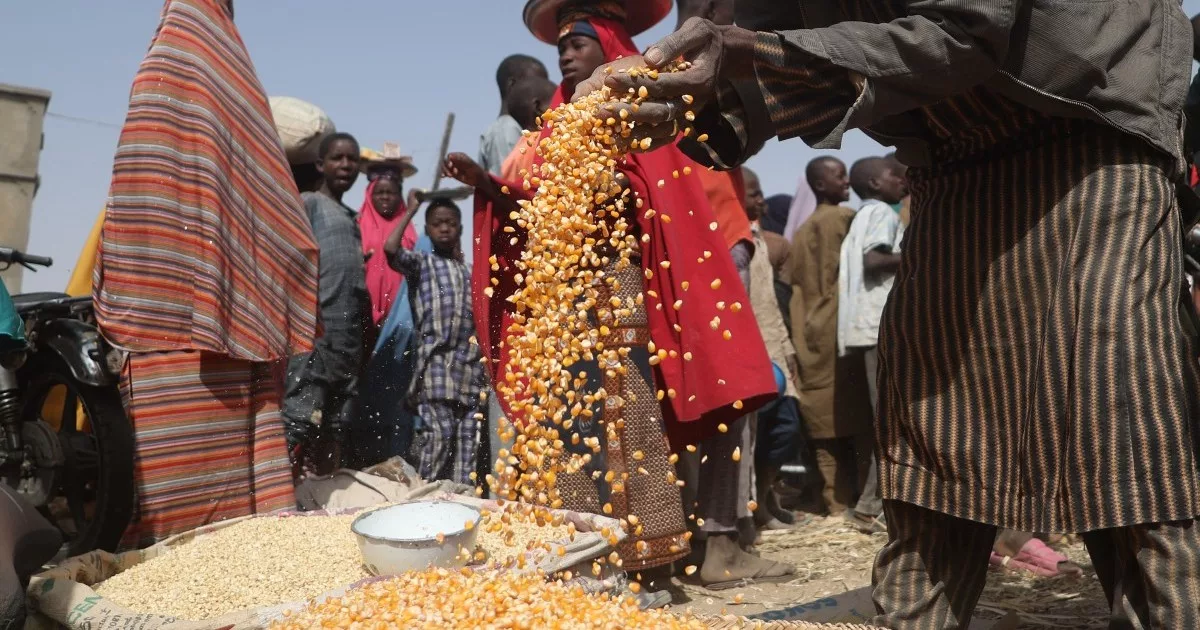 Casi 55 millones enfrentan hambre en África occidental y central, advierte la ONU |  Noticias sobre el hambre