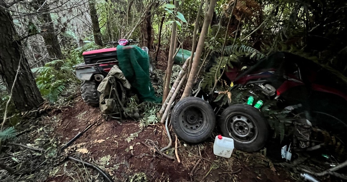 El padre muerto de Nueva Zelanda mantuvo las armas con armas, según la policía | Noticias del crimen