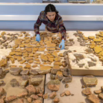 En Londres, un pozo de demolición de la era romana produce fragmentos de belleza: NPR