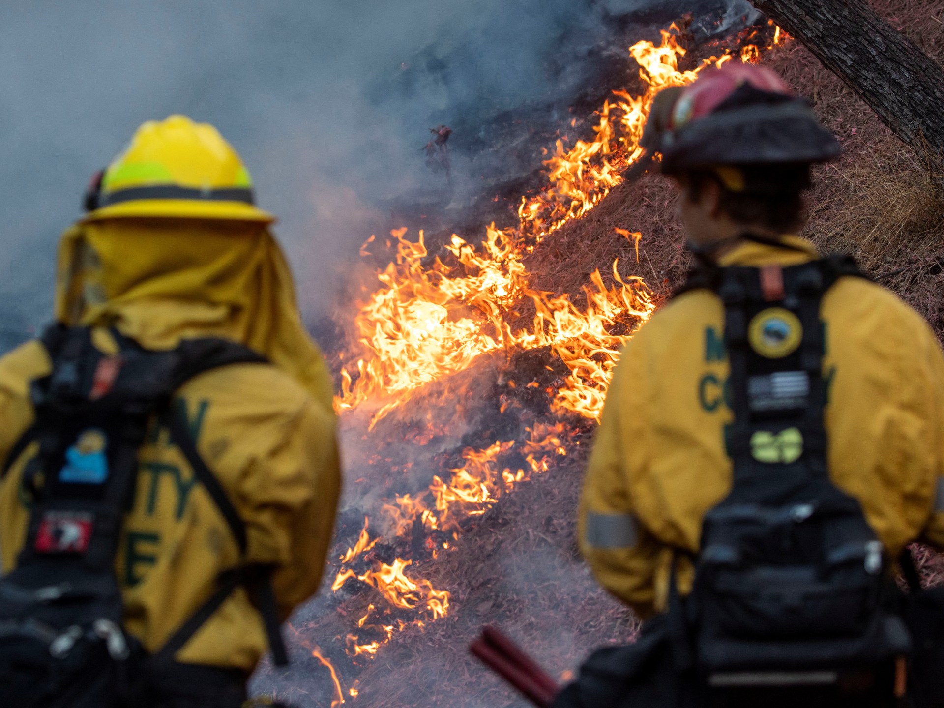 Fotos de antes y después muestran la escala de destrucción de los incendios forestales de Los Ángeles | Noticias sobre la crisis climática