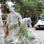 Globo de basura norcoreano aterriza en complejo presidencial de Corea del Sur |  Noticias
