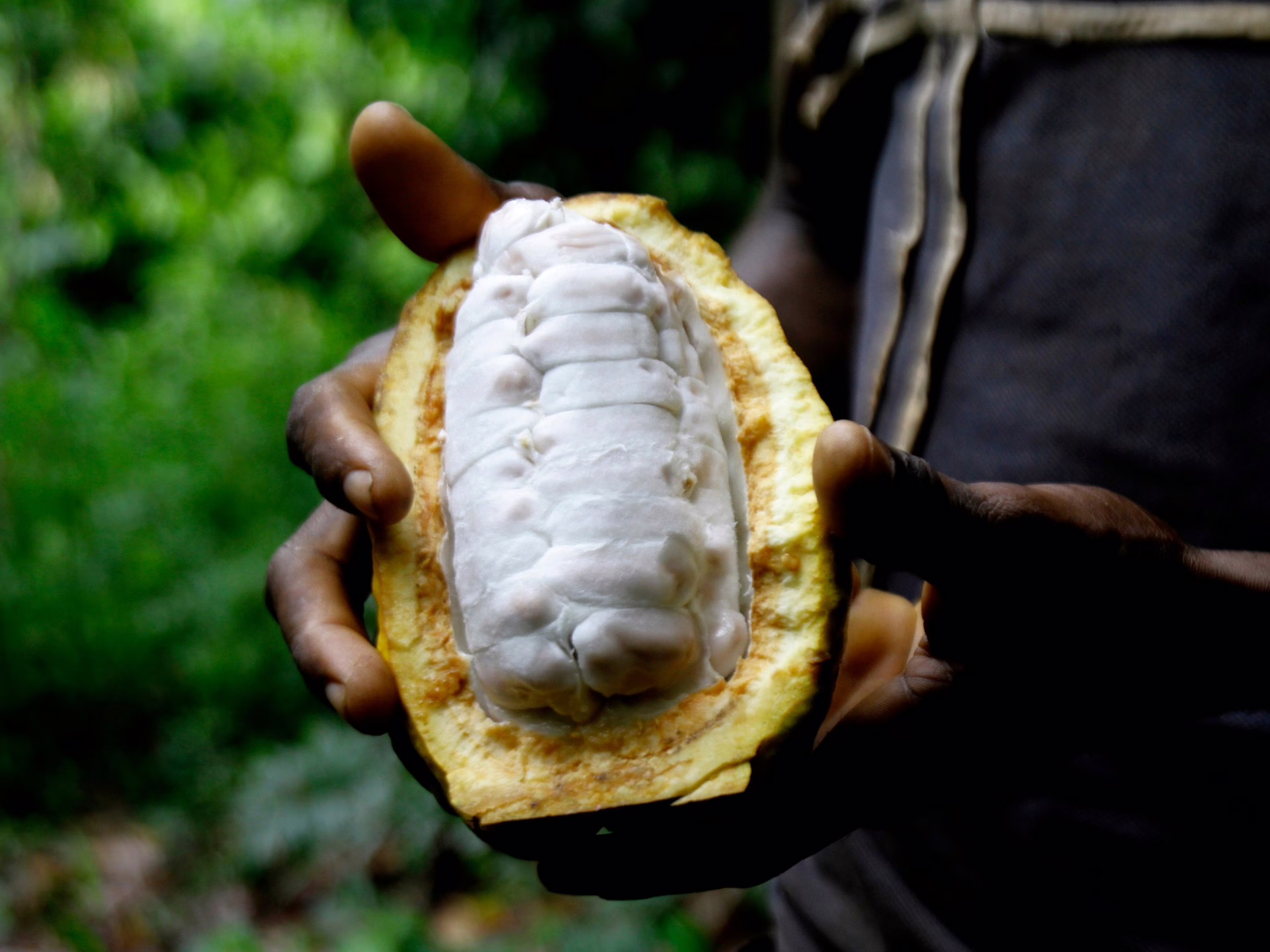 La amarga verdad: ¿por qué el chocolate se volvió tan caro? | Noticias de comida