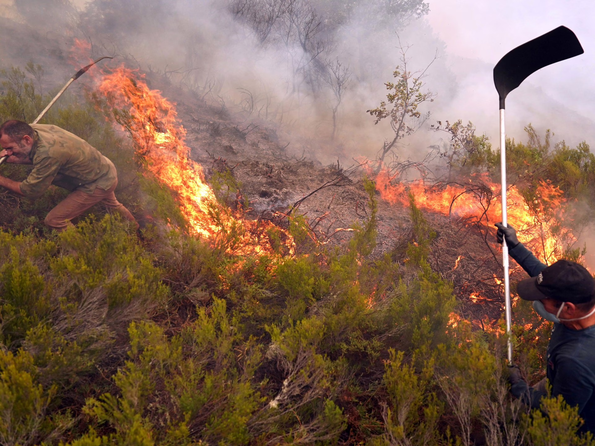 La ola de calor de agosto en España fue "más intensa en el registro", dice la Agencia Meteorológica | Noticias climáticas