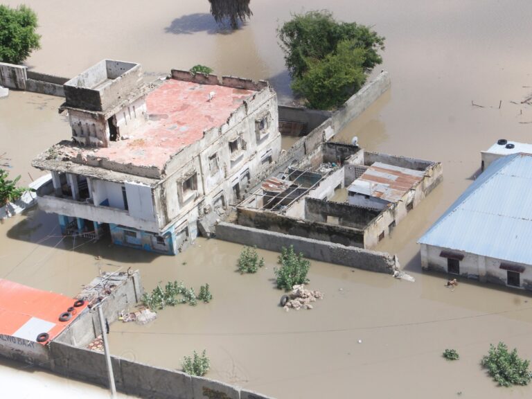 Las fuertes lluvias causan inundaciones en el Mogadistio de Somalia, matando a siete | Inundación