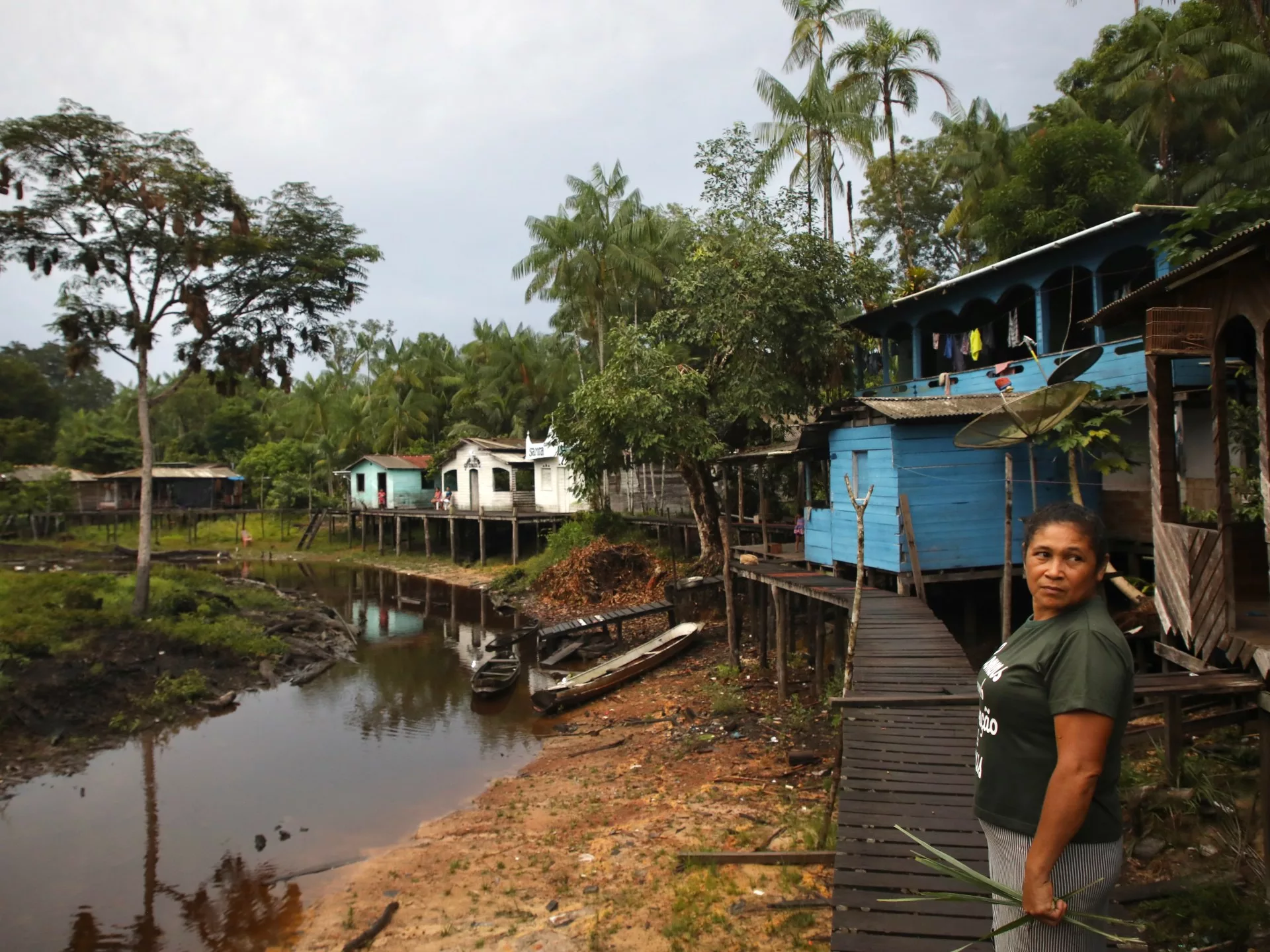 'Todo está muerto': cómo una sequía récord está causando estragos en el Amazonas |  Noticias de sequía