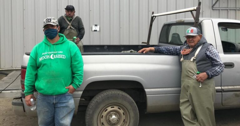 Trabajadores agrícolas de California celebran nuevas viviendas en una ciudad marcada por tiroteos masivos |  Noticias de vivienda