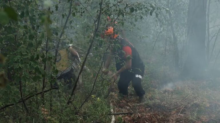 Dos bomberos que llevan una manguera a través de un bosque denso